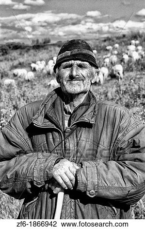 Croatia beautiful coast portrait of older sheep herder near Dubrovnik Croatia View Large Photo Image Stock Image - Croatia beautiful coast portrait of older sheep herder near Dubrovnik Croatia. Fotosearch