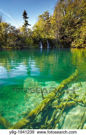 Croatia - Plitvice Lakes National Park, crystal-clear water in the lake, central Croatia. View Large Photo Image Stock Photo - Croatia - Plitvice Lakes National Park, crystal-clear water in the lake, central Croatia.. Fotosearch