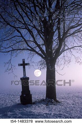 Cross beside a bare tree on a cold full moon night View Large Photo Image Stock Photo - Cross beside a bare tree on a cold full moon night. Fotosearch