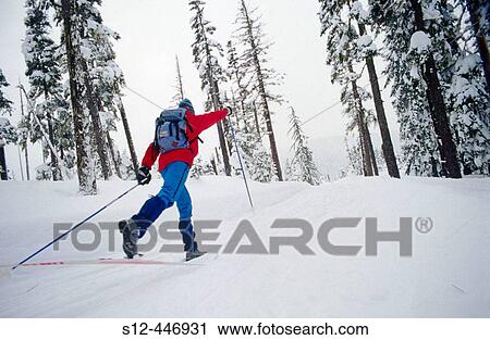 Cross Country skier. Mt. Hood National Forest. Oregon. USA. View Large Photo Image Stock Image - Cross Country skier. Mt. Hood National Forest. Oregon. USA.. Fotosearch