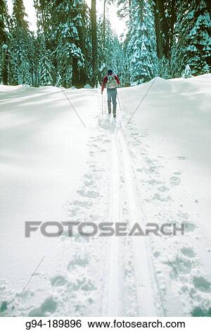 Cross country skier. Yosemite National Park. California. USA View Large Photo Image Stock Photograph - Cross country skier. Yosemite National Park. California. USA. Fotosearch