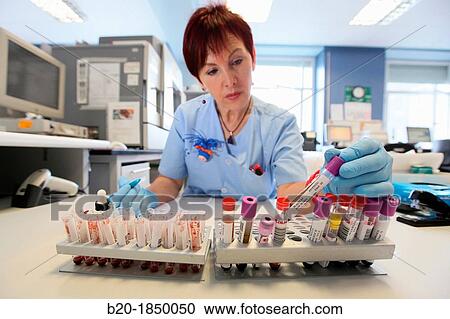 Stock Image - Crossmatch Blood Test, Blood Bank Emergency Department, Hemotherapy, Donostia Hospital, San Sebastian, Donostia, Gipuzkoa, Basque Country, Spain. Fotosearch