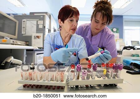 Crossmatch Blood Test, Blood Bank Emergency Department, Hemotherapy, Donostia Hospital, San Sebastian, Donostia, Gipuzkoa, Basque Country, Spain View Large Photo Image Stock Image - Crossmatch Blood Test, Blood Bank Emergency Department, Hemotherapy, Donostia Hospital, San Sebastian, Donostia, Gipuzkoa, Basque Country, Spain. Fotosearch