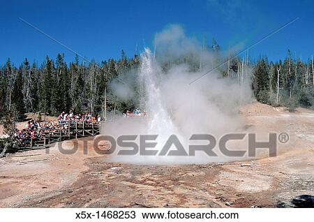 Stock Image - Crowd watching Echinus Geyser, Yellowstone National Park, Wyoming, USA. Fotosearch