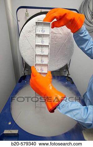 Stock Image - Cryogenic Procedures/Cryopreservation/storage of samples in liquid nitrogen tank. Laboratory, Fundaci? n Inbiomed, Genetrix Group. Center for research in stem cells and regenerative medicine. Donostia, San Sebastian, Euskadi. Spain.. Fotosearch