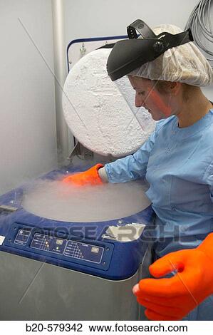 Stock Image - Cryogenic Procedures/Cryopreservation/storage of samples in liquid nitrogen tank. Laboratory, Fundaci? n Inbiomed, Genetrix Group. Center for research in stem cells and regenerative medicine. Donostia, San Sebastian, Euskadi. Spain.. Fotosearch