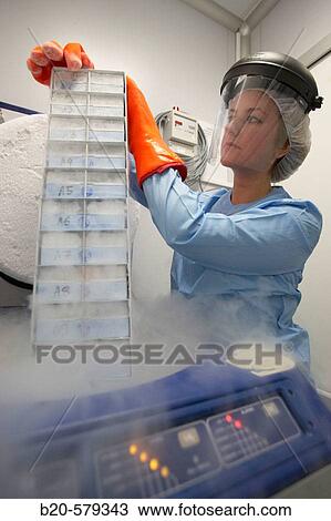 Stock Image - Cryogenic Procedures/Cryopreservation/storage of samples in liquid nitrogen tank. Laboratory, Fundaci? n Inbiomed, Genetrix Group. Center for research in stem cells and regenerative medicine. Donostia, San Sebastian, Euskadi. Spain.. Fotosearch
