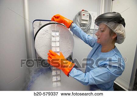 Cryogenic Procedures/Cryopreservation/storage of samples in liquid nitrogen tank. Laboratory, Fundaci? n Inbiomed, Genetrix Group. Center for research in stem cells and regenerative medicine. Donostia, San Sebastian, Euskadi. Spain. View Large Photo Image Stock Photo - Cryogenic Procedures/Cryopreservation/storage of samples in liquid nitrogen tank. Laboratory, Fundaci? n Inbiomed, Genetrix Group. Center for research in stem cells and regenerative medicine. Donostia, San Sebastian, Euskadi. Spain.. Fotosearch