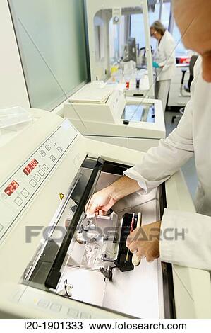 Cryostat for Standard Applications in the Clinical Histopathology Laboratory, Anatomic Pathology, Onkologikoa Hospital, Oncology Institute, Case Center for prevention, diagnosis and treatment of cancer, Basque Country, Spain View Large Photo Image Stock Image - Cryostat for Standard Applications in the Clinical Histopathology Laboratory, Anatomic Pathology, Onkologikoa Hospital, Oncology Institute, Case Center for prevention, diagnosis and treatment of cancer, Basque Country, Spain. Fotosearch