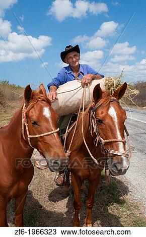 Cuba Cienfuegos old man cowboy portrait wiith horses on side of road in farming area. View Large Photo Image Stock Image - Cuba Cienfuegos old man cowboy portrait wiith horses on side of road in farming area.. Fotosearch