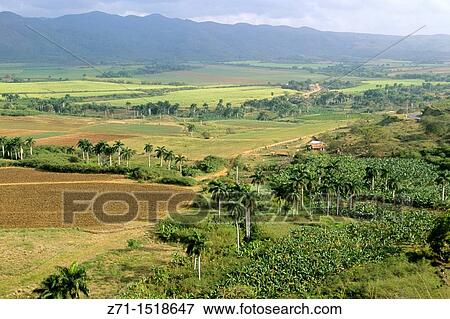 Stock Photo - Cuba, Sancti Spiritus, Valle de los Ingenios, scenery.. Fotosearch