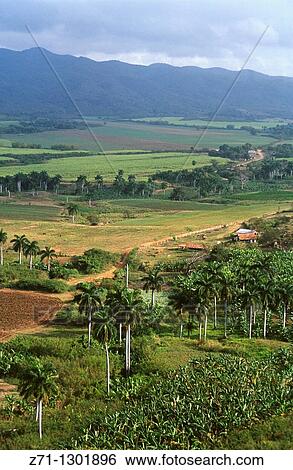 Cuba, Sancti Spiritus, Valle de los Ingenios. View Large Photo Image Stock Photograph - Cuba, Sancti Spiritus, Valle de los Ingenios.. Fotosearch