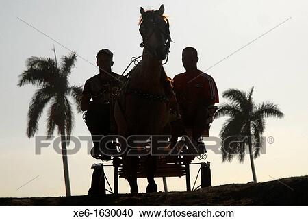 cuban farmers, peasant party View Large Photo Image Stock Image - cuban farmers, peasant party. Fotosearch