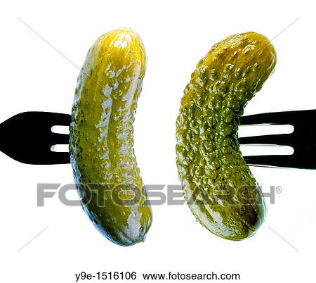 Cucumbers on forks View Large Photo Image Stock Photograph - Cucumbers on forks. Fotosearch