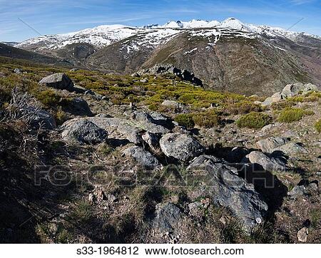 Cuerda del Cervunal in the Sierra de Gredos. Avila. Castilla Leon. Spain. View Large Photo Image Stock Image - Cuerda del Cervunal in the Sierra de Gredos. Avila. Castilla Leon. Spain.. Fotosearch