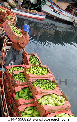 Cura? ao, Netherlands Antilles, Dutch, Willemstad, Punda, Shacaprileskade, Floating Market, Koningin Wilhelmina Brug, Waaigat, boat, Hispanic, man, muscular, worker, job, lifting, unloading, fresh produce, lime, avocado, chayote, carton crate, box, View Large Photo Image Stock Photograph - Cura? ao, Netherlands Antilles, Dutch, Willemstad, Punda, Shacaprileskade, Floating Market, Koningin Wilhelmina Brug, Waaigat, boat, Hispanic, man, muscular, worker, job, lifting, unloading, fresh produce, lime, avocado, chayote, carton crate, box,. Fotosearch