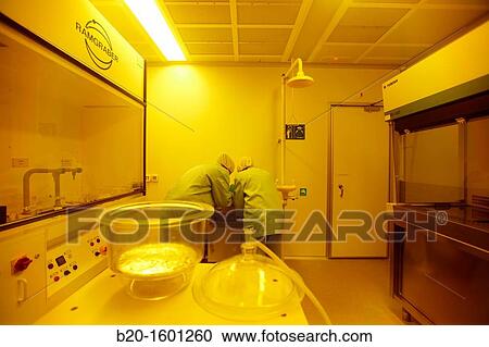 Stock Image - Curing of PDMS microfluidic devices for manufacture, cleanroom, Microelectronics and Microsystems Unit, CEIT (Center of Studies and Technical Research), University of Navarra, Donostia, Gipuzkoa, Basque Country, Spain. Fotosearch