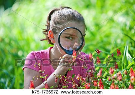 Curious youth using a magnifier to see close-up of flowers View Large Photo Image Stock Image - Curious youth using a magnifier to see close-up of flowers. Fotosearch