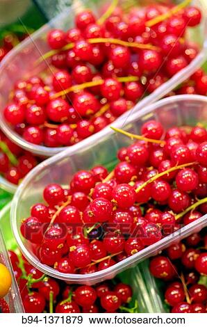 Currants. La Boqueria market, Barcelona. Catalonia, Spain View Large Photo Image Stock Photo - Currants. La Boqueria market, Barcelona. Catalonia, Spain. Fotosearch