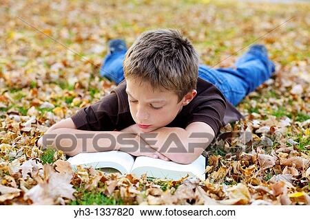 Cute young boy reading children book outdoor View Large Photo Image Stock Image - Cute young boy reading children book outdoor. Fotosearch
