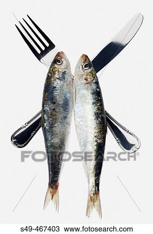 Cutlery and sardines. View Large Photo Image Stock Image - Cutlery and sardines.. Fotosearch