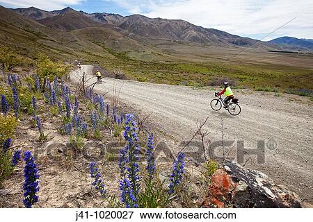 Stock Photo - Cycle touring party rides through Molesworth Station, near Acheron River, Isolation Valley, North Canterbury, New Zealand.. Fotosearch