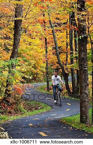 Cycling in the Forest View Large Photo Image Stock Image - Cycling in the Forest. Fotosearch