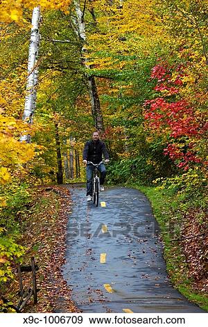 Cycling in the Forest View Large Photo Image Stock Photo - Cycling in the Forest. Fotosearch