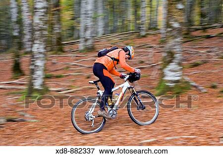 Stock Photo - cyclist on a mountain bike croosing a beech forest. Irati Natural Reserve, West Pyrenees county, Navarre, Spain, Europe. Fotosearch