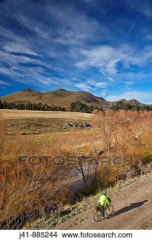Cyclist rides towards Hyde, Otago Rail Trail, New Zealand View Large Photo Image Picture - Cyclist rides towards Hyde, Otago Rail Trail, New Zealand. Fotosearch