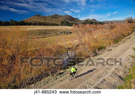 Cyclist rides towards Hyde, Otago Rail Trail, New Zealand View Large Photo Image Stock Image - Cyclist rides towards Hyde, Otago Rail Trail, New Zealand. Fotosearch
