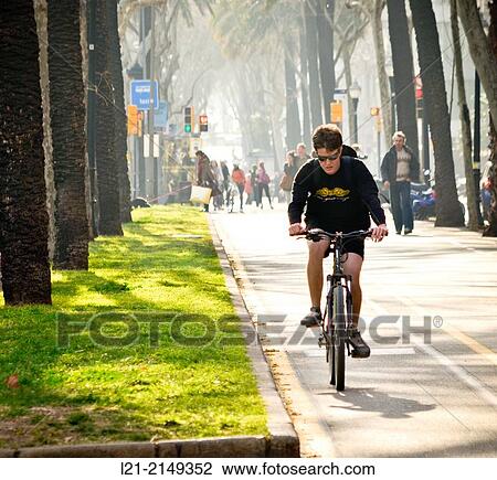 Cyclist running down an avenue. Barcelona, Catalonia, Spain. View Large Photo Image Stock Image - Cyclist running down an avenue. Barcelona, Catalonia, Spain.. Fotosearch
