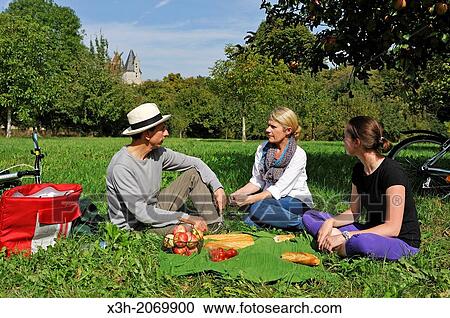 cyclists having a picnic in an apple orchard, around Corbon, Orne department, Lower Normandy region, France, Western Europe. View Large Photo Image Stock Image - cyclists having a picnic in an apple orchard, around Corbon, Orne department, Lower Normandy region, France, Western Europe.. Fotosearch
