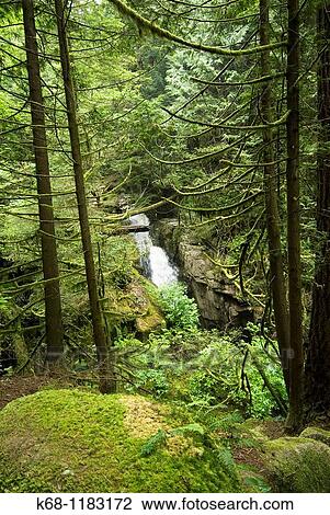 Stock Image - Cypress Falls Park, West Vancouver, BC, Canada. Fotosearch