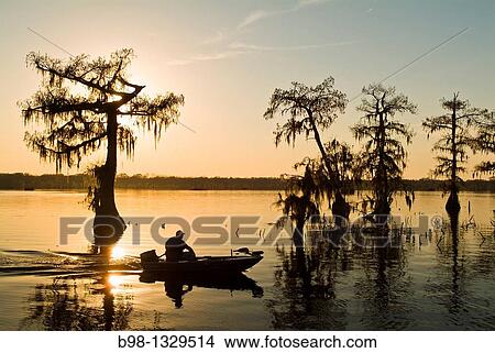 Cyrpress Island, Lake Martin, Louisiana Sunset View Large Photo Image Picture - Cyrpress Island, Lake Martin, Louisiana Sunset. Fotosearch