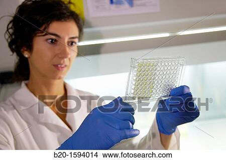 Picture - Cytotoxicity studies. Fotosearch