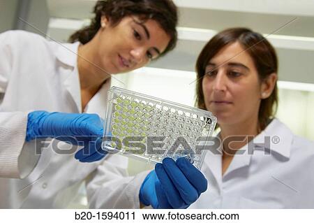 Stock Image - Cytotoxicity studies. Fotosearch