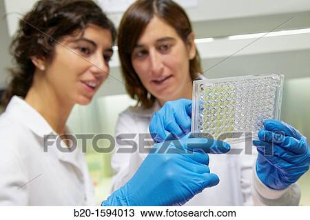 Cytotoxicity studies View Large Photo Image Stock Image - Cytotoxicity studies. Fotosearch