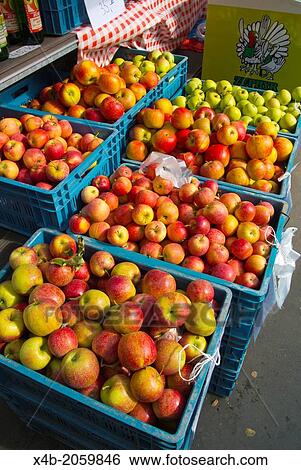 Czech apples Farmers market Jiriho z Podebrad square Zizkov district Prague Czech Republic Europe. View Large Photo Image Stock Photograph - Czech apples Farmers market Jiriho z Podebrad square Zizkov district Prague Czech Republic Europe.. Fotosearch