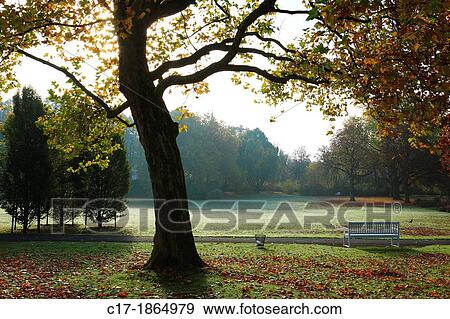 D-Bad Driburg, nature reserve Teutoburgian Forest / Eggegebirge, East Westphalia, Westphalia, North Rhine-Westphalia, NRW, Graeflicher Park Bad Driburg, counts park, spa gardens, english landscape gardens, autumnal View Large Photo Image Stock Photo - D-Bad Driburg, nature reserve Teutoburgian Forest / Eggegebirge, East Westphalia, Westphalia, North Rhine-Westphalia, NRW, Graeflicher Park Bad Driburg, counts park, spa gardens, english landscape gardens, autumnal. Fotosearch