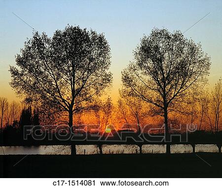 D-Rees, Rhine, Lower Rhine, Rhineland, North Rhine-Westphalia, NRW, D-Rees-Millingen, Millinger Meer, sea, lake, former oxbow of the Rhine, evening mood, sunset, afterglow, trees, backlight, silhouette View Large Photo Image Stock Image - D-Rees, Rhine, Lower Rhine, Rhineland, North Rhine-Westphalia, NRW, D-Rees-Millingen, Millinger Meer, sea, lake, former oxbow of the Rhine, evening mood, sunset, afterglow, trees, backlight, silhouette. Fotosearch