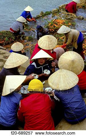 Da Lat, Vietnam View Large Photo Image Stock Photo - Da Lat, Vietnam. Fotosearch