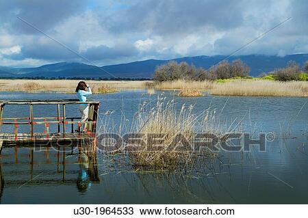 Stock Image - Daimiel National Park, in Ciudad Real province. Castilla-La Mancha, Spain.. Fotosearch