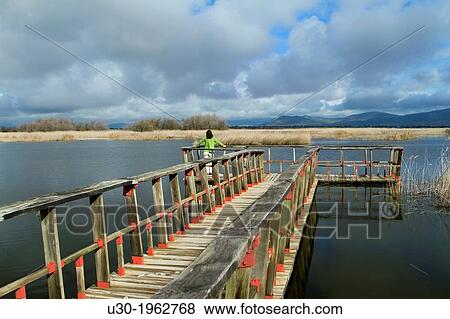 Stock Photo - Daimiel National Park, in Ciudad Real province. Castilla-La Mancha, Spain.. Fotosearch