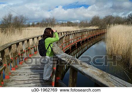 Stock Photo - Daimiel National Park, in Ciudad Real province. Castilla-La Mancha, Spain.. Fotosearch