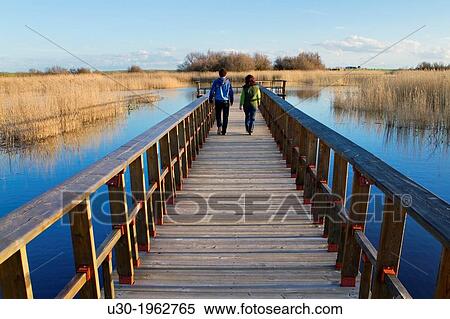 Stock Photography - Daimiel National Park, in Ciudad Real province. Castilla-La Mancha, Spain.. Fotosearch