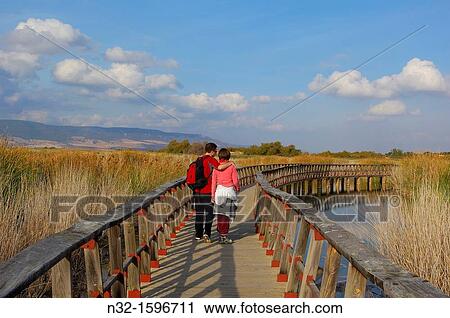 Daimiel, Tablas de Daimiel National Park, Ciudad Real province, Spain. View Large Photo Image Stock Image - Daimiel, Tablas de Daimiel National Park, Ciudad Real province, Spain.. Fotosearch