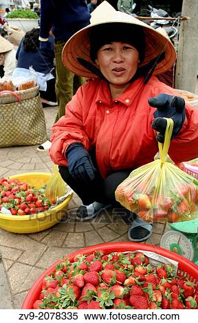 Dalat is known for its fresh flowers and strawberries for which the region is famous in Vietnam. View Large Photo Image Stock Photography - Dalat is known for its fresh flowers and strawberries for which the region is famous in Vietnam.. Fotosearch