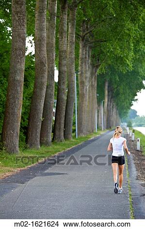 Damse Vaart de Damport, Road that connects Bruges with Damme, Flanders, Belgium View Large Photo Image Picture - Damse Vaart de Damport, Road that connects Bruges with Damme, Flanders, Belgium. Fotosearch