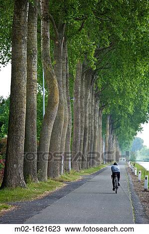 Damse Vaart de Damport, Road that connects Bruges with Damme, Flanders, Belgium View Large Photo Image Stock Image - Damse Vaart de Damport, Road that connects Bruges with Damme, Flanders, Belgium. Fotosearch